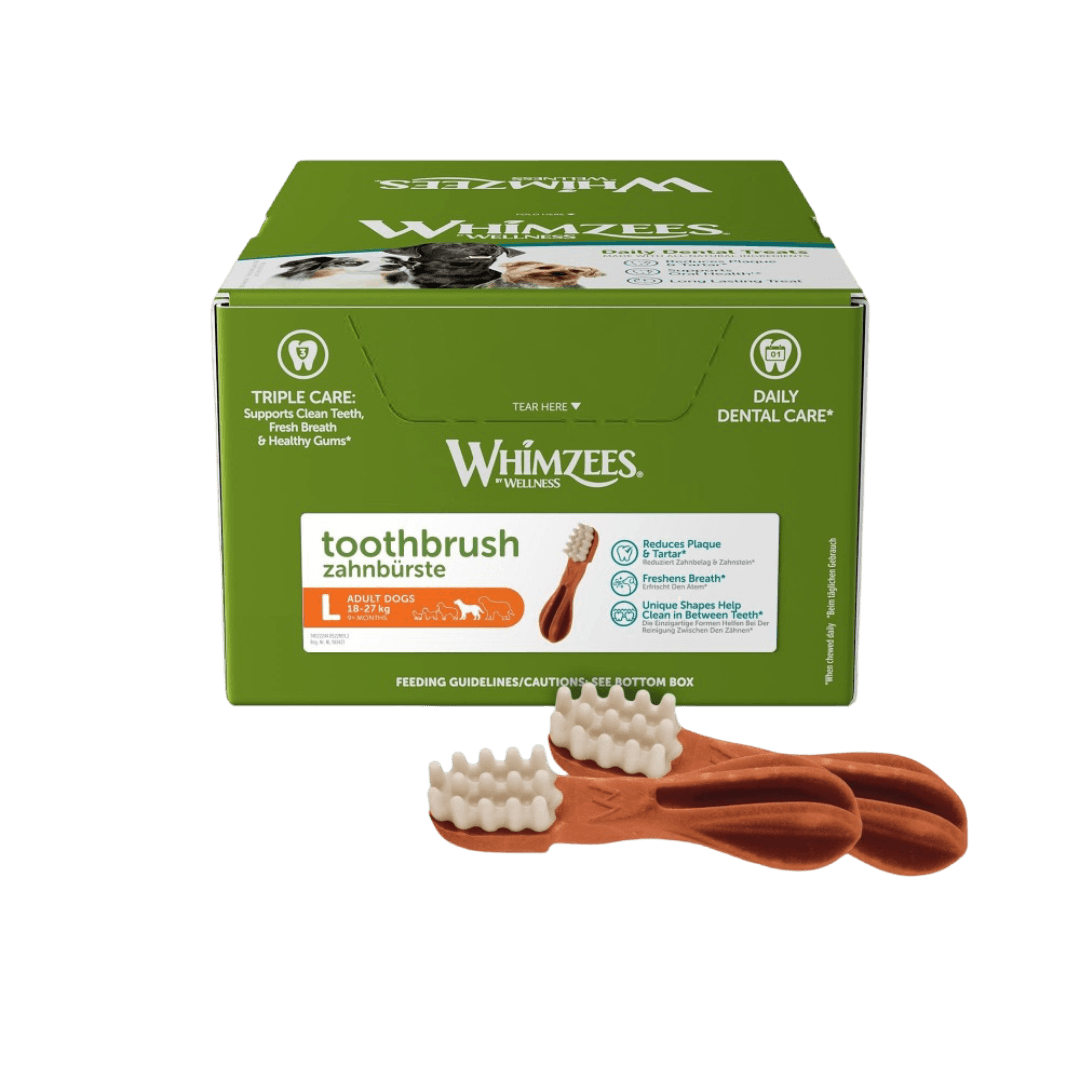Toothbrush Large Dental Dog Treats