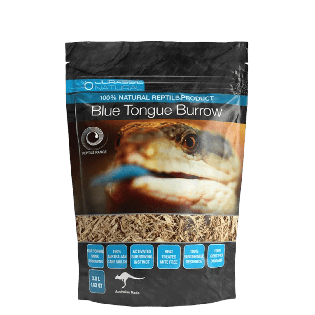Blue Tongue Burrow