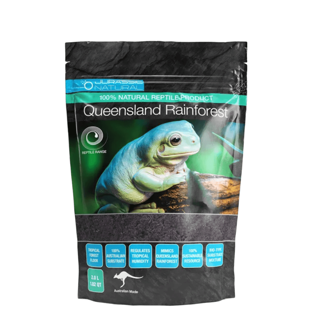Queensland Rainforest
