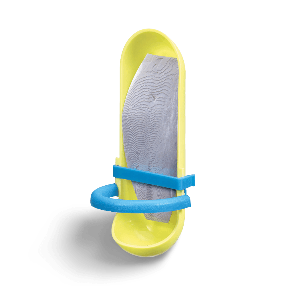 Holder Cuttlebone