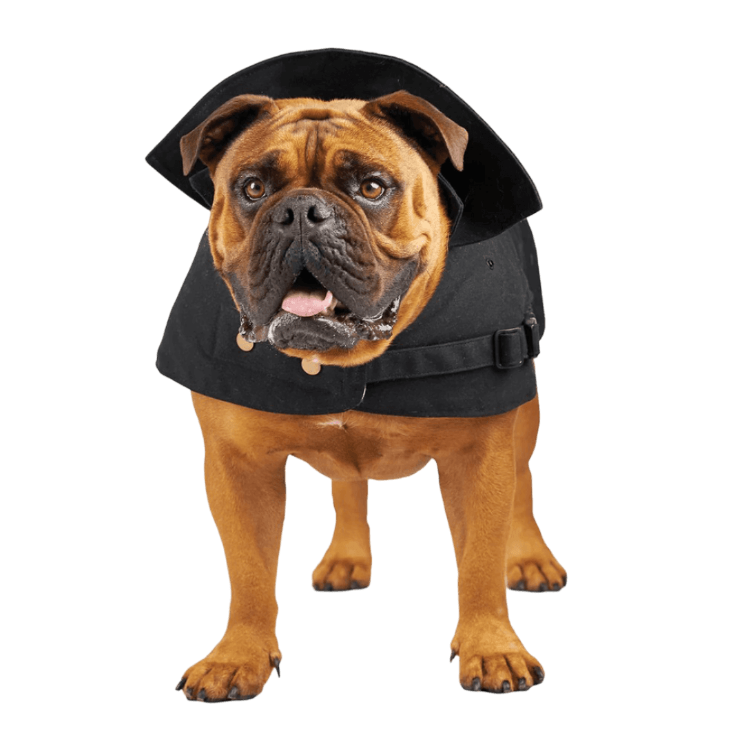 Aussie Oilskin Black Dog Coat