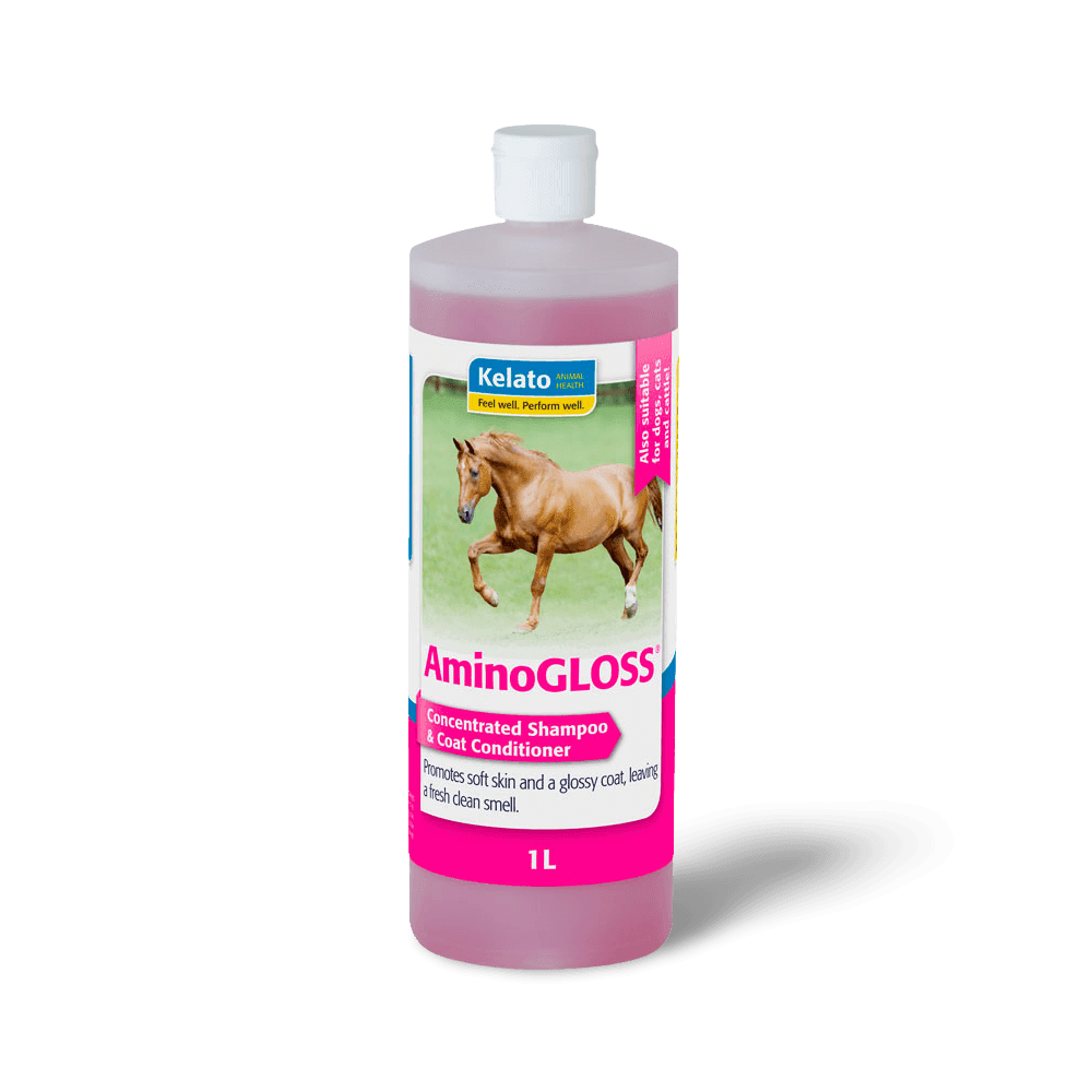 Aminogloss Concentrated Shampoo And Conditioner for Horses