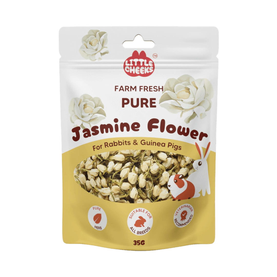 Farm Fresh Pure Jasmine Flower Forage for Small Pets