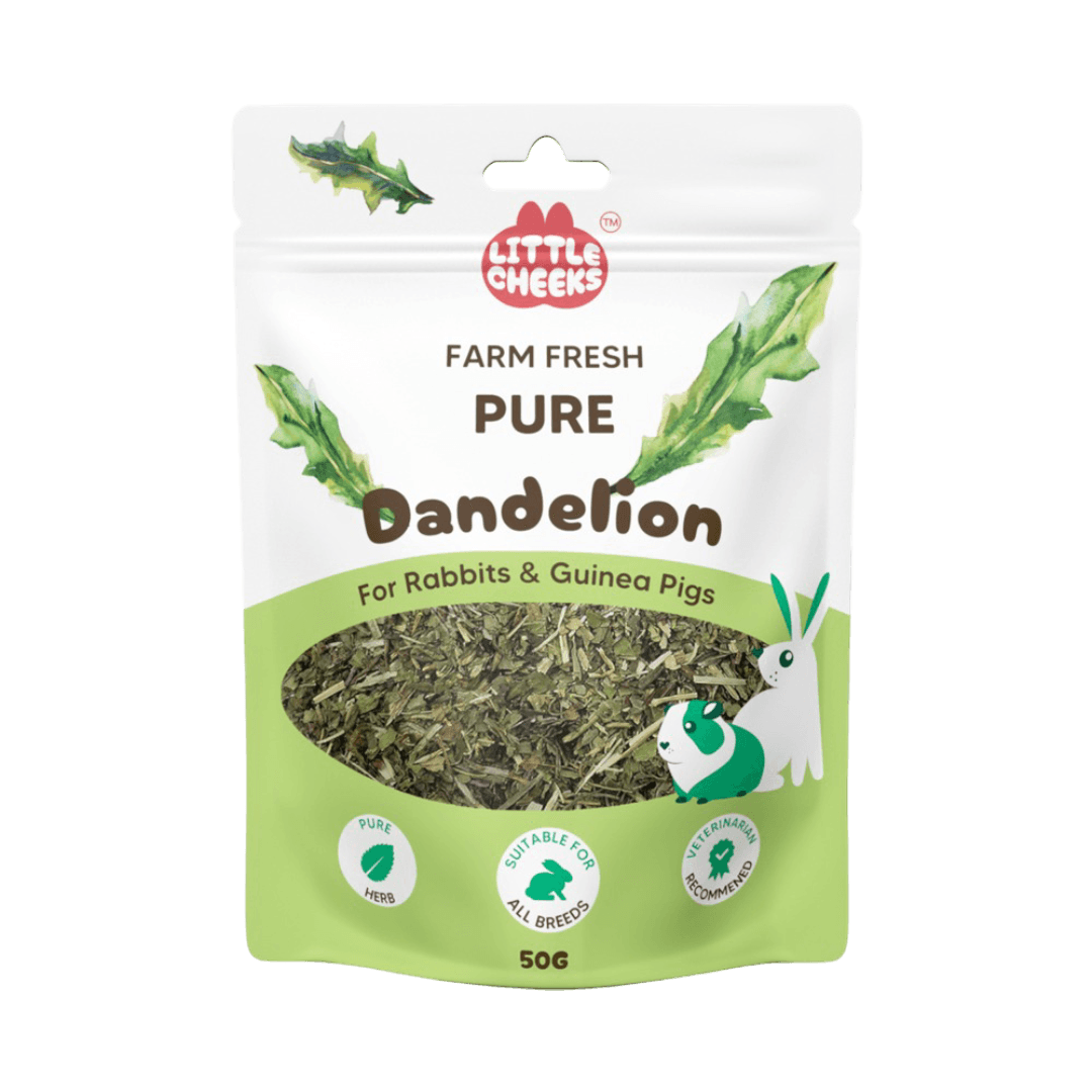 Farm Fresh Pure Dandelion Leaf Forage for Small Pets