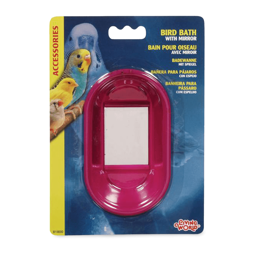 Bird Bath With Mirror