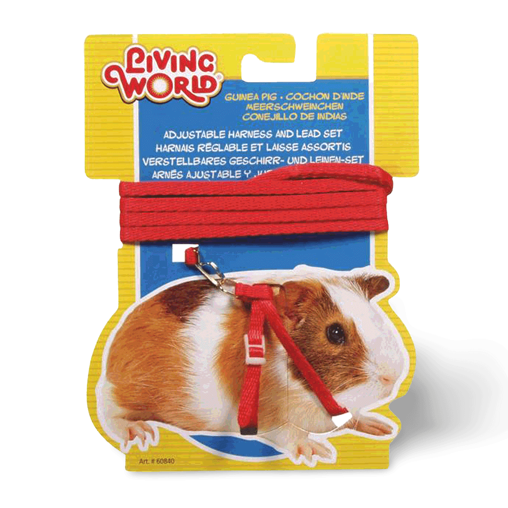 Dwarf Rabbit Harness & Lead Set in Yellow