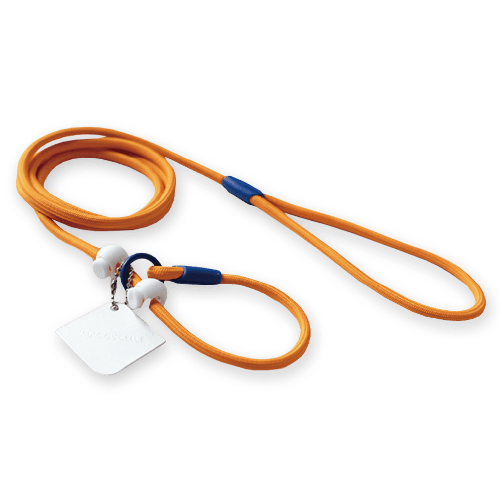 Dog Slip Lead in Pumpkin Orange