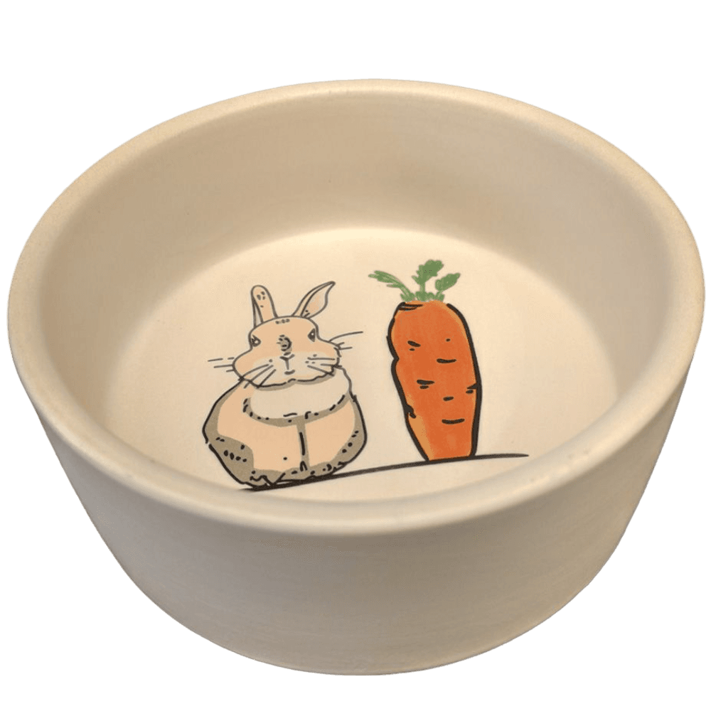 Nature Island Frost Art Rabbit And Carrot Small Animal Ceramic Bowl