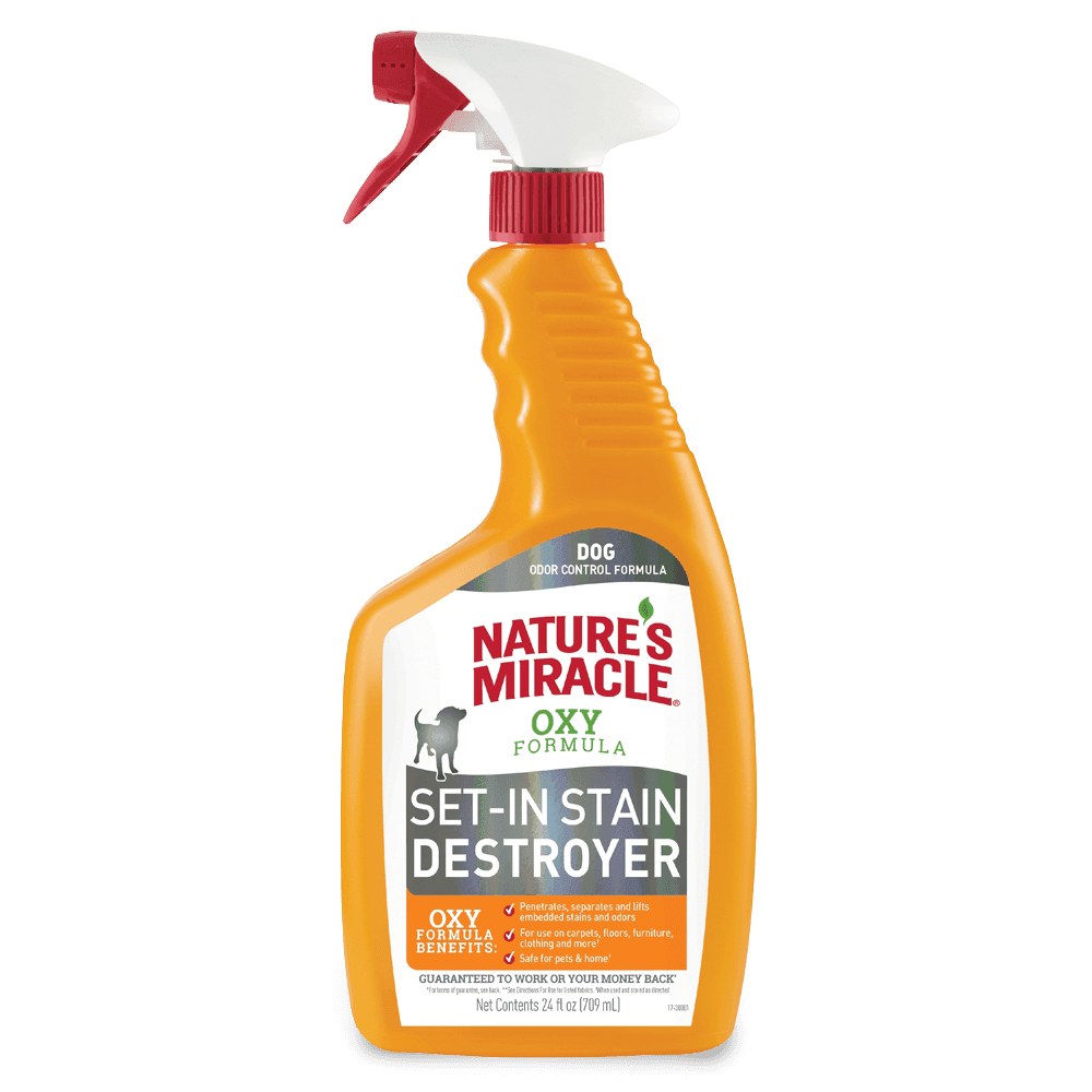 Set In Stain Oxy Formula Dog Stain Destroyer