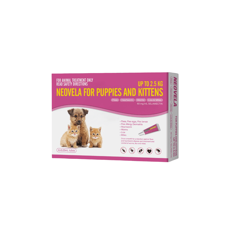 Flea And Worming For Puppies And Kittens