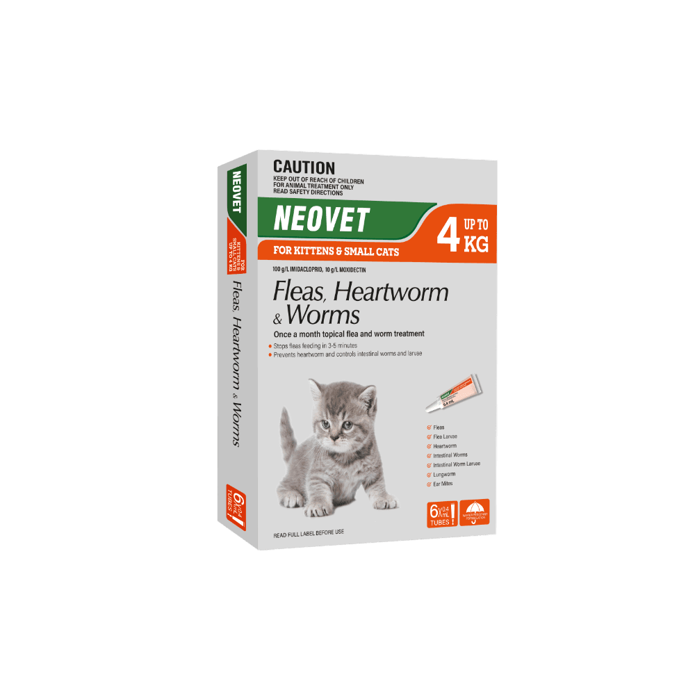 Flea And Worming For Kittens And Small Cats