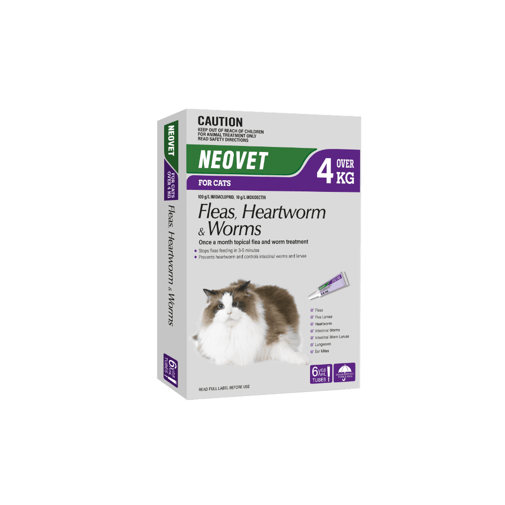 Flea And Worming For Cats