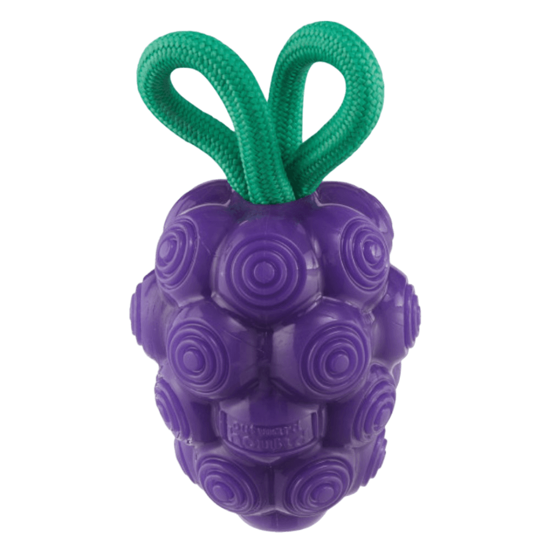 Nina Ottosson Dental Grapes Treat Dispensing Dog Chew Toys