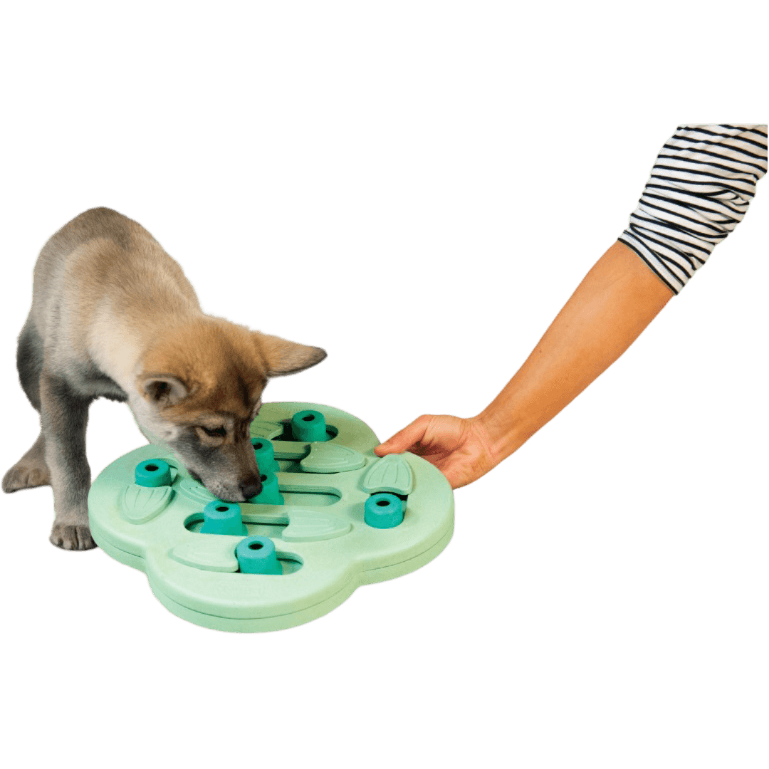Puppy Hide Slide Dog Treat Puzzle Toy
