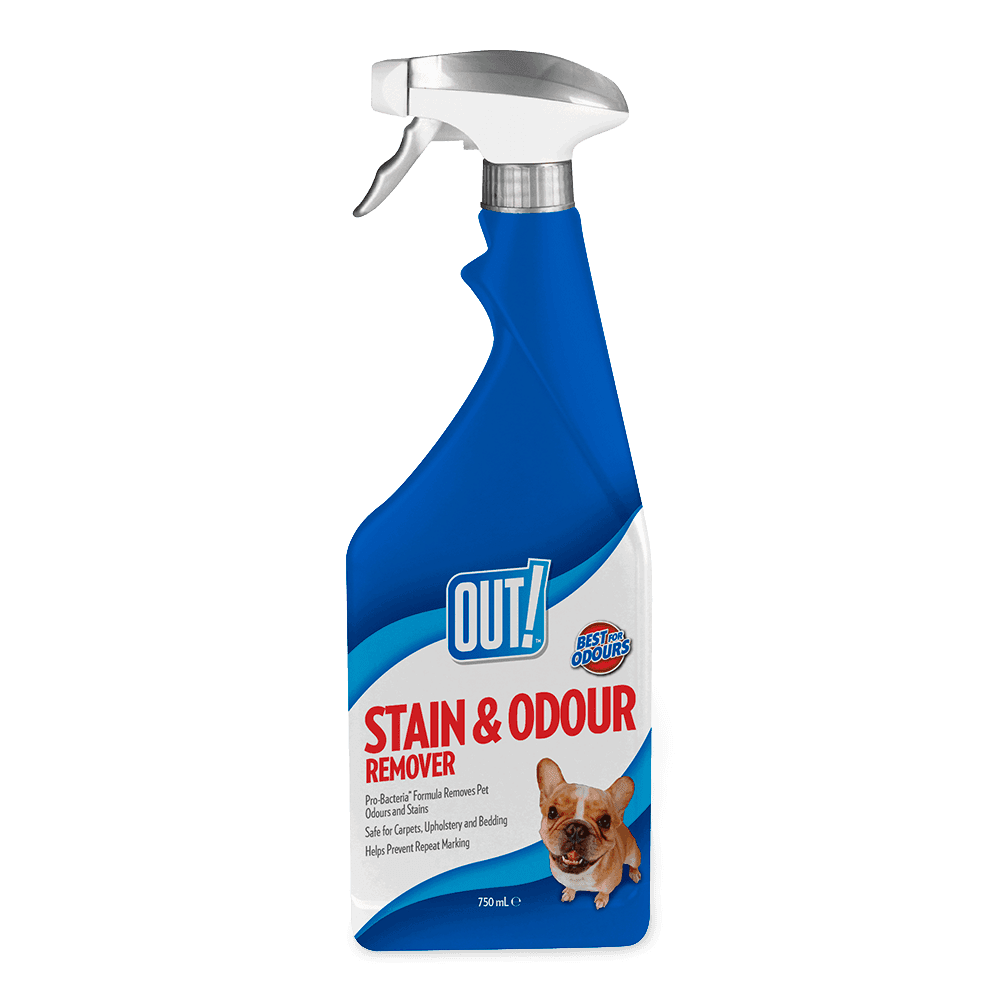 Stain And Odor Remover