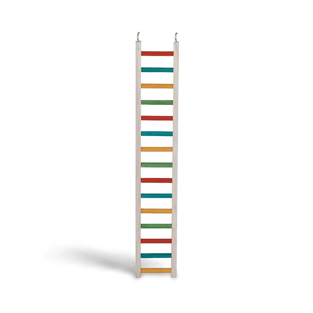 Parrot Ladder