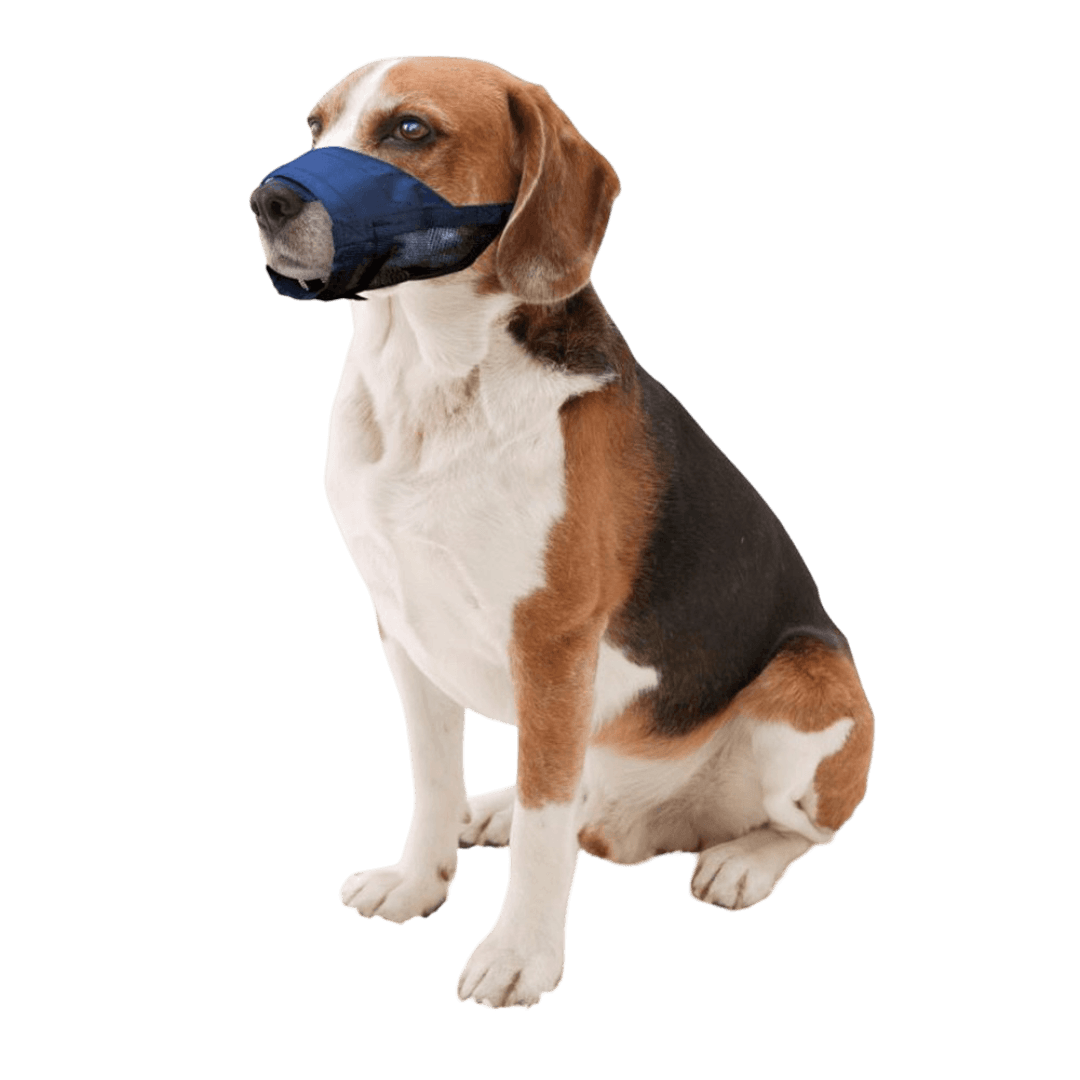 Adjustable Muzzle