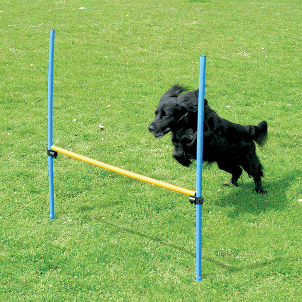 Pawise Agility Hurdle