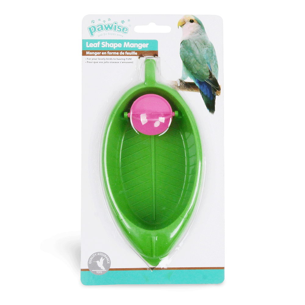 Bird Water Channel