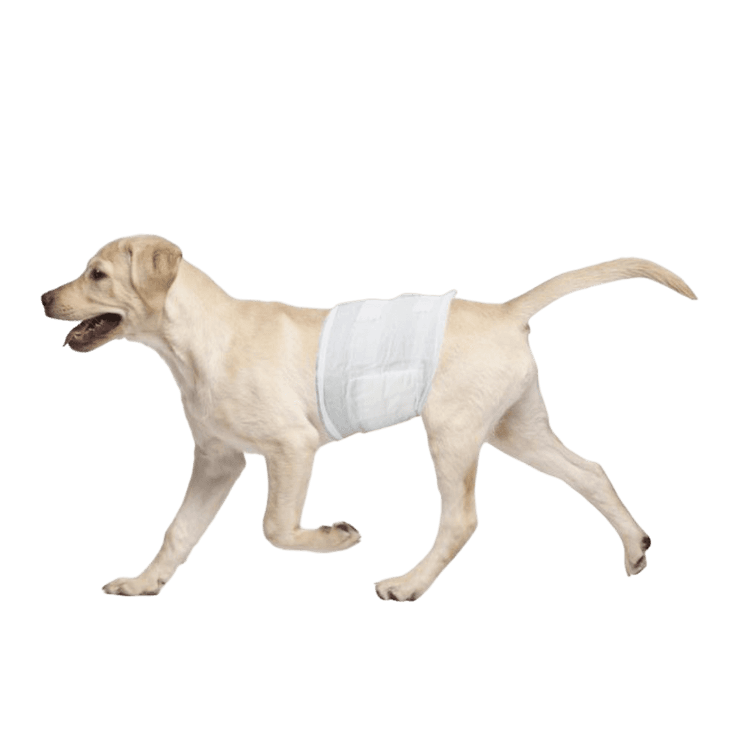 Disposable Wrap 12 Pack