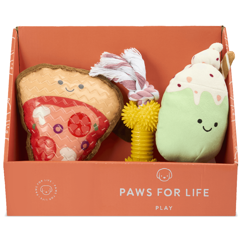 3 Piece Gift Set Pizza Party Food Dog Toys