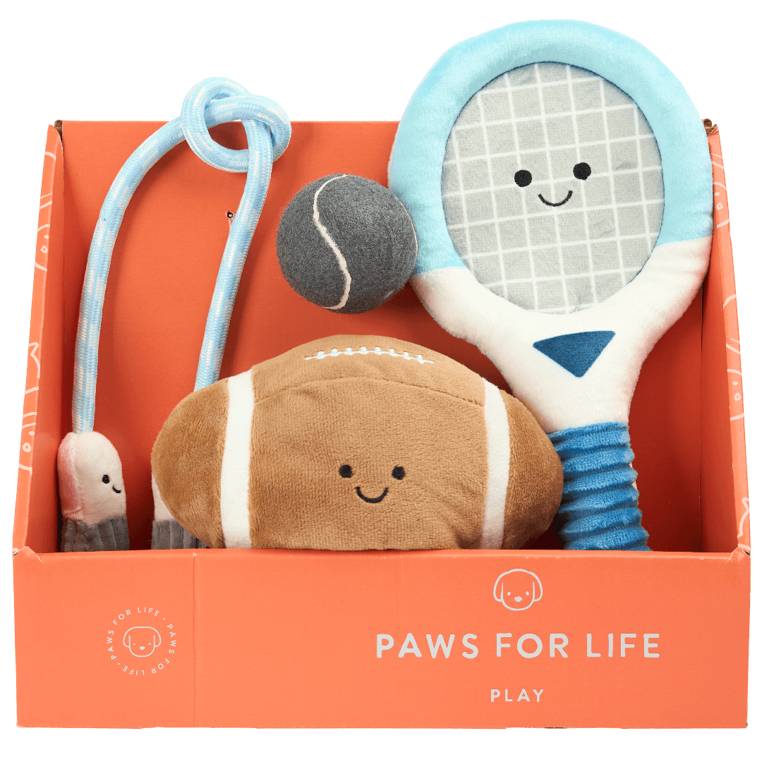 4 Piece Gift Set Rugby Tennis Sport Dog Toys
