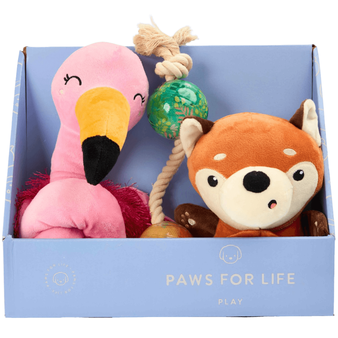 3 Piece Gift Set Flamingo Fox And Tug Dog Toys