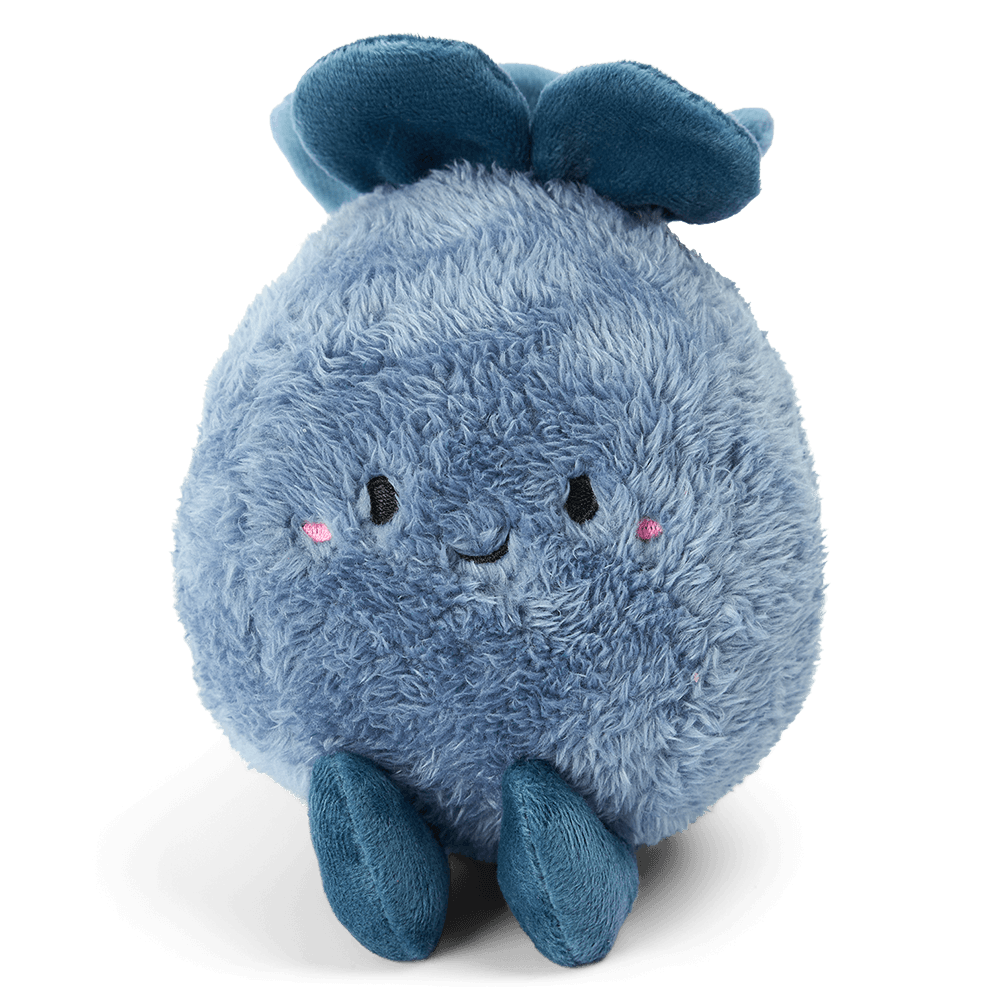 Blueberry Plushie Soft Dog Toy