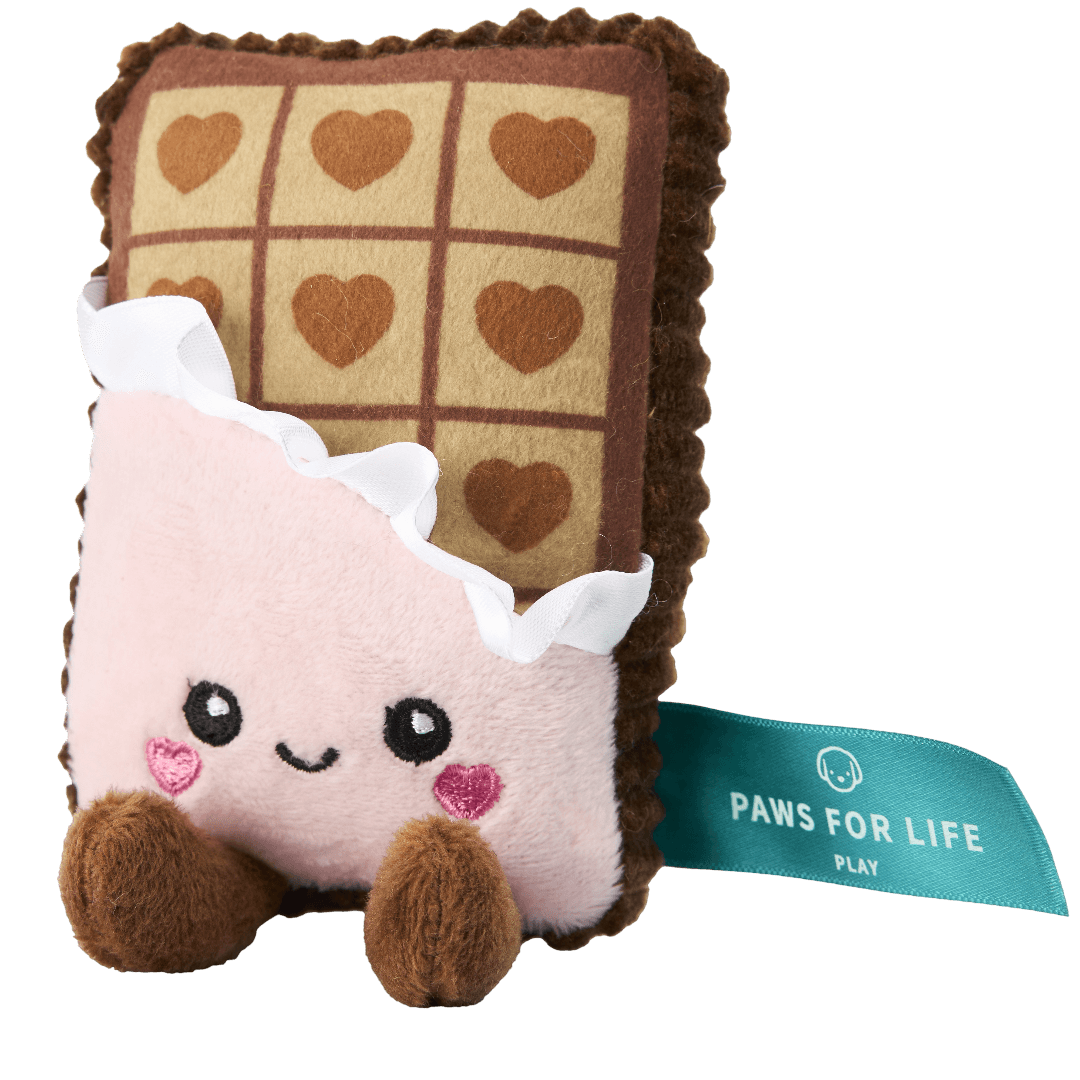 Chocolate Plush Dog Toy
