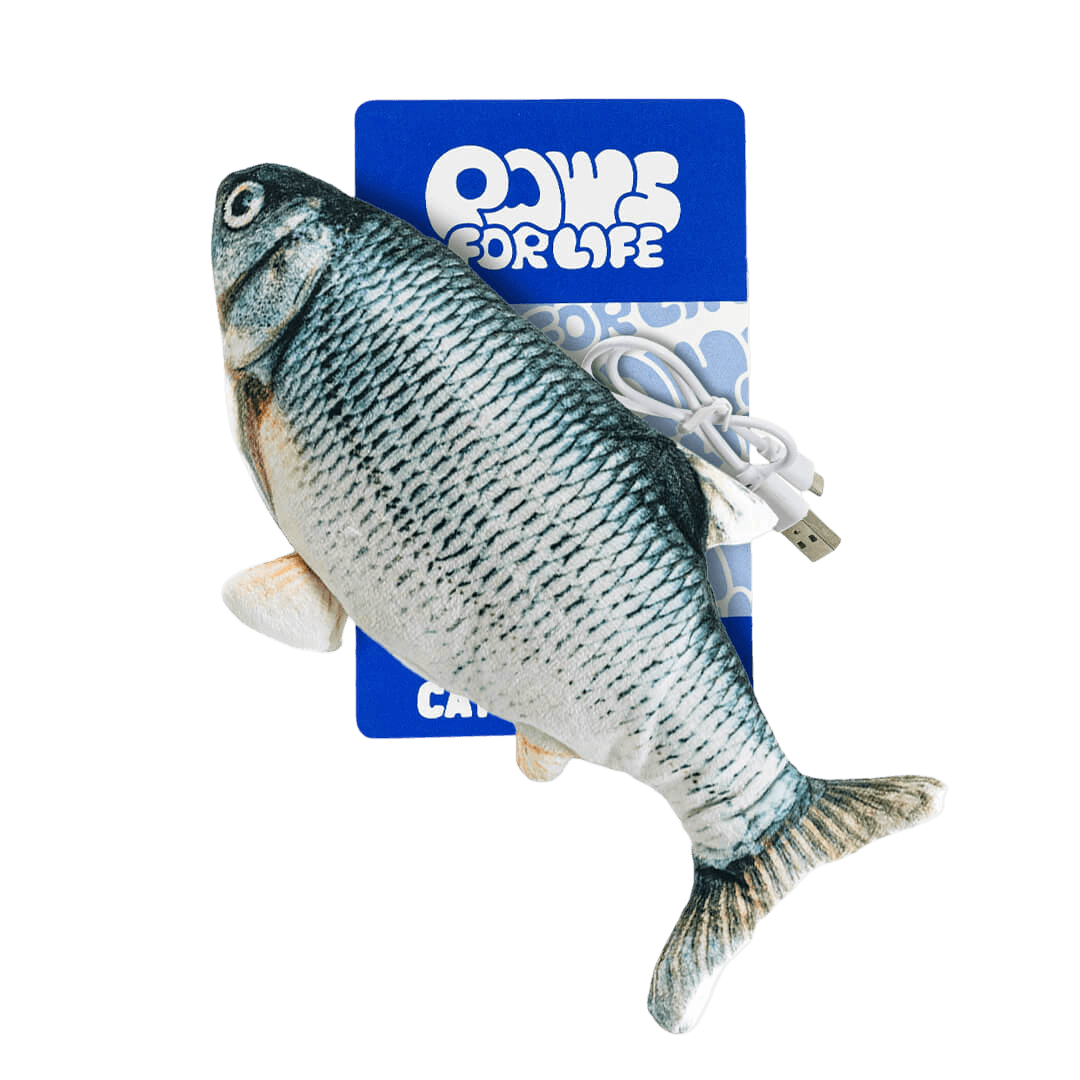 Electronic Floppy Fish