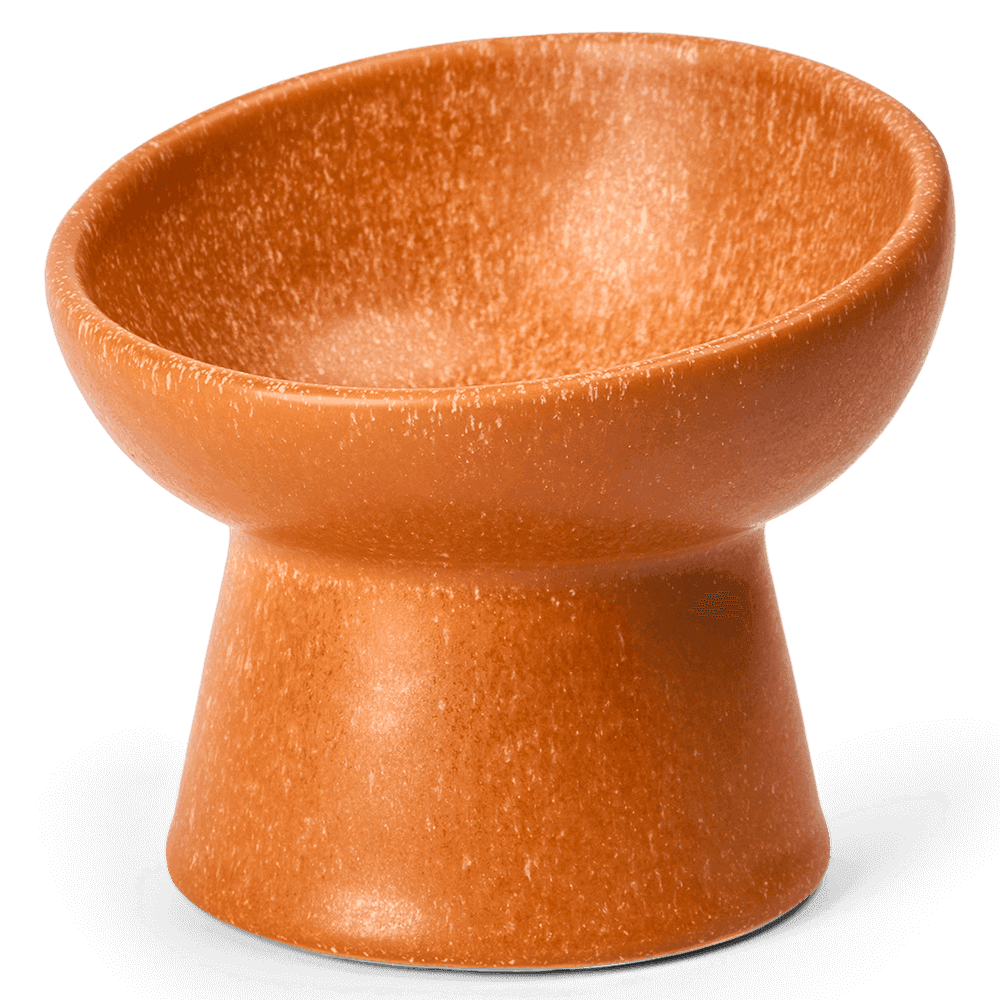 Ergonomic And Elevated Ceramic Pet Bowl in Terracotta Orange