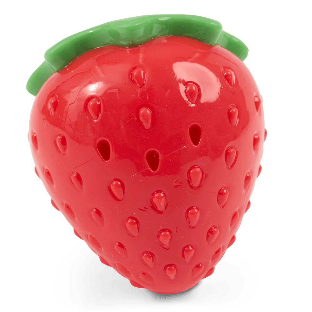 Freezable Strawberry Cooling Summer Dog Toy