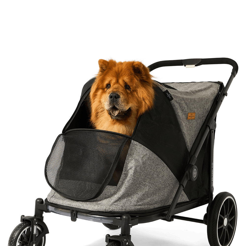 Foldable Large Pet Stroller Black