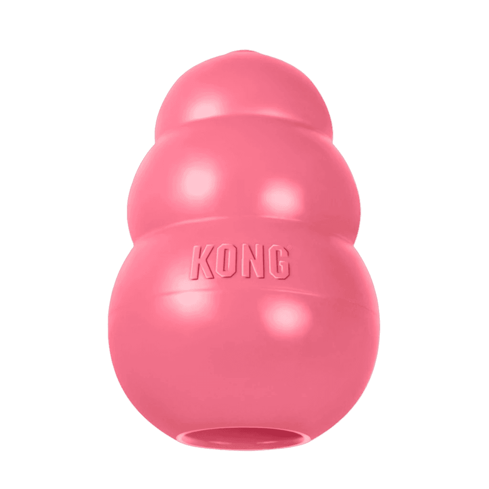 KONG Toy Puppy
