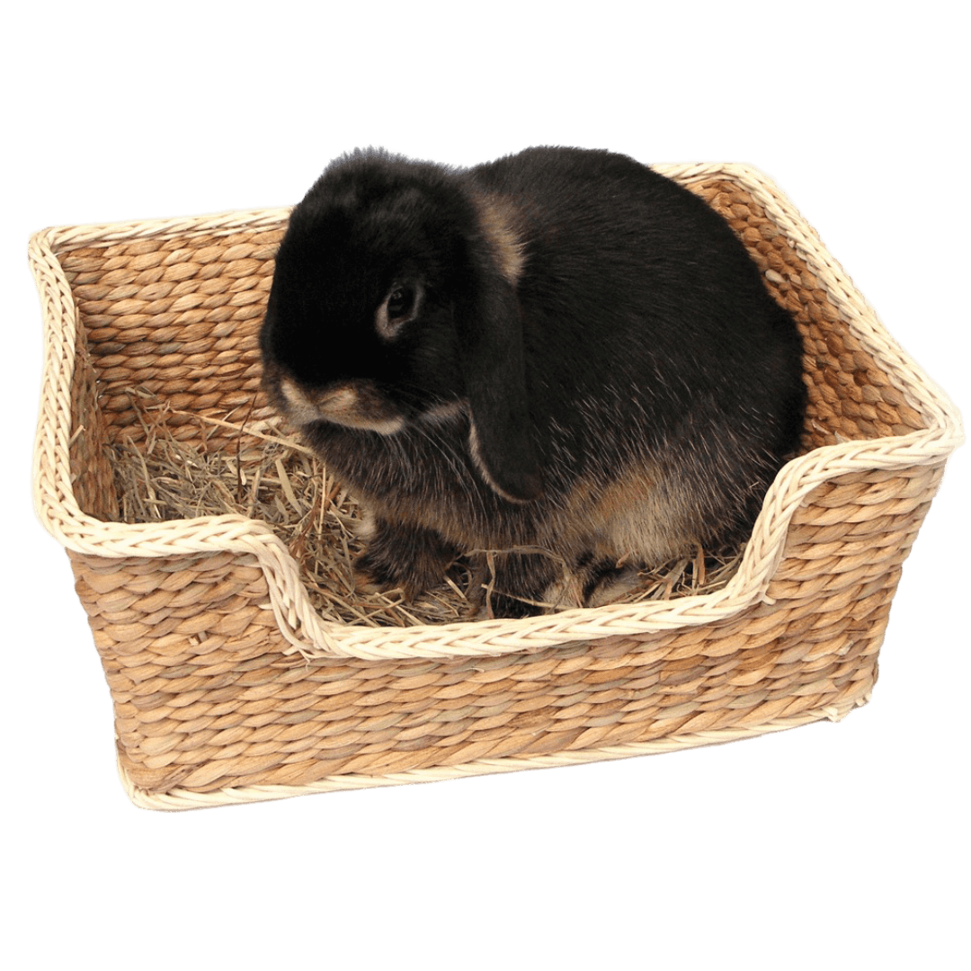 Chill N Snooze Bed for Small Pets