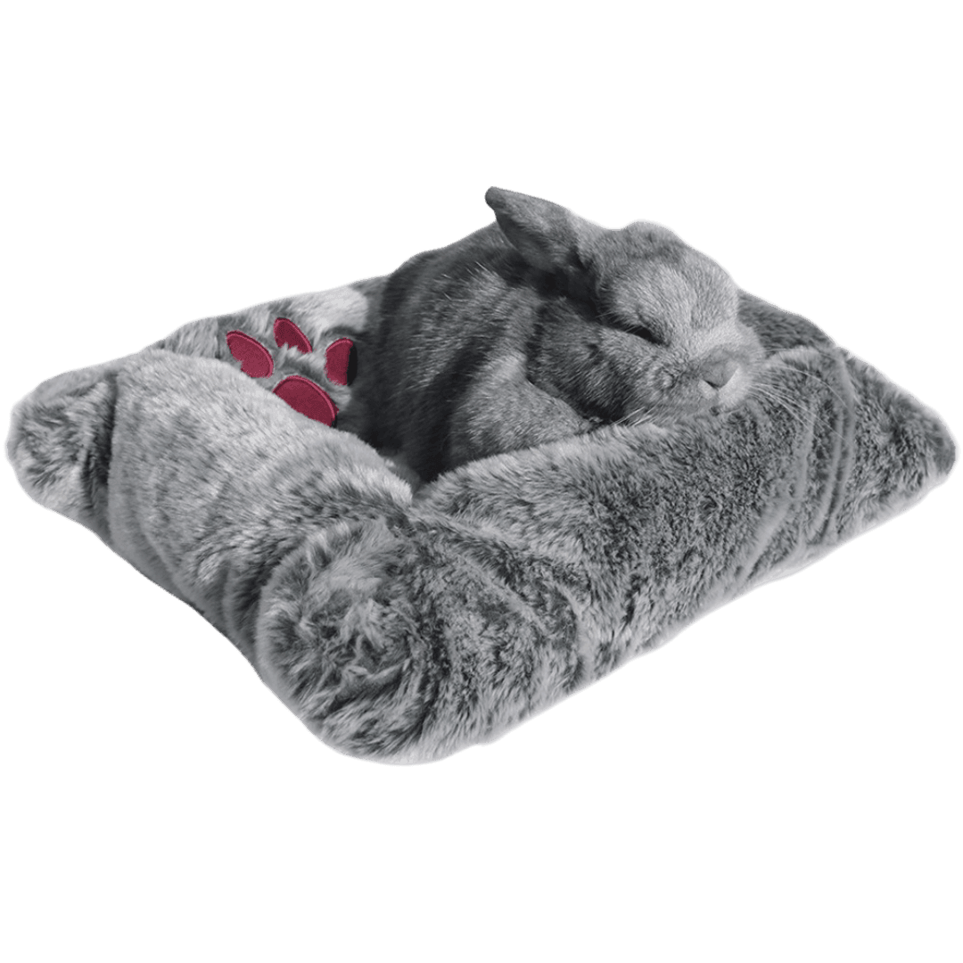 Luxury Plush Small Pet Bed