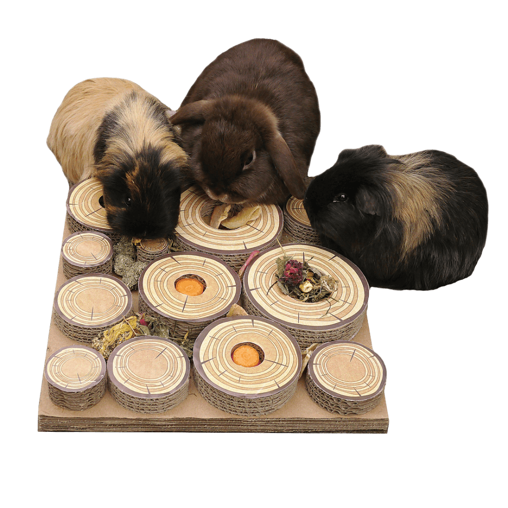 Maze A Log Treat Challenge Cardboard Small Pet Toy