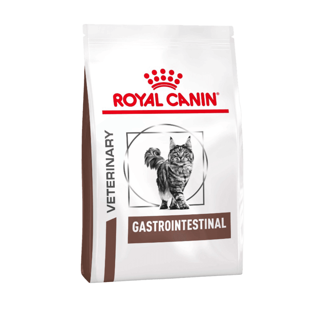 Gastrointestinal Adult Dry Cat Food