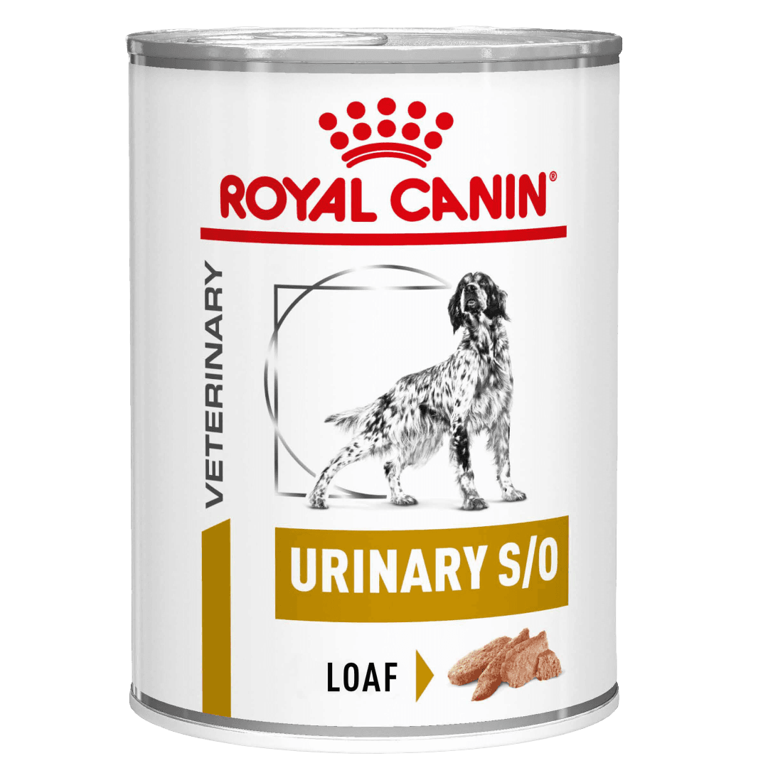 Urinary S/O Wet Dog Food Cans
