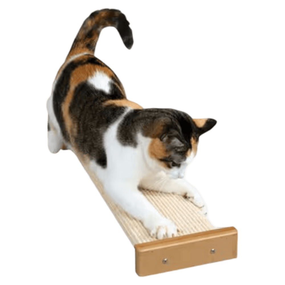 Combination Scratcher