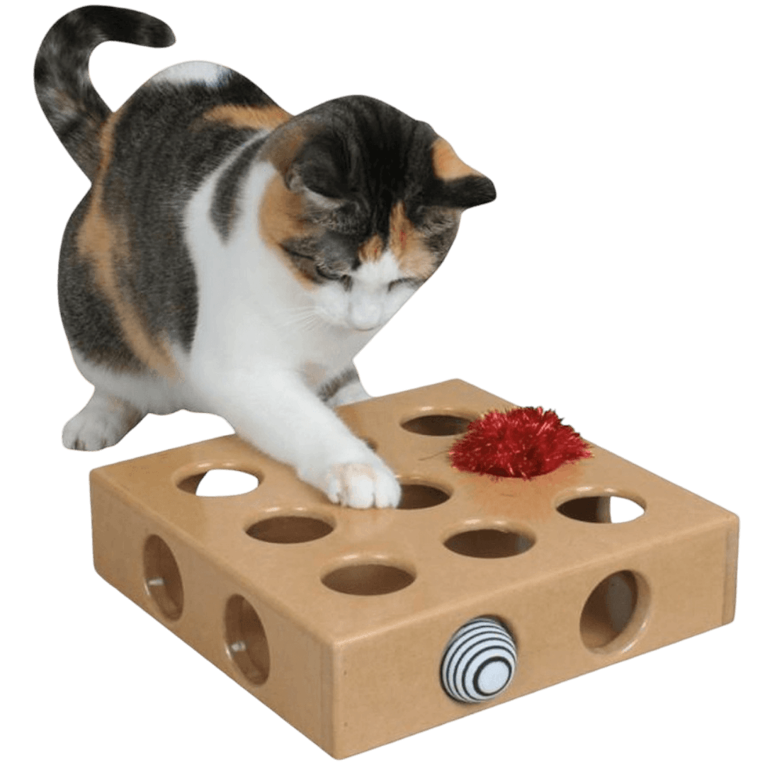 Peek And Play Toy Box
