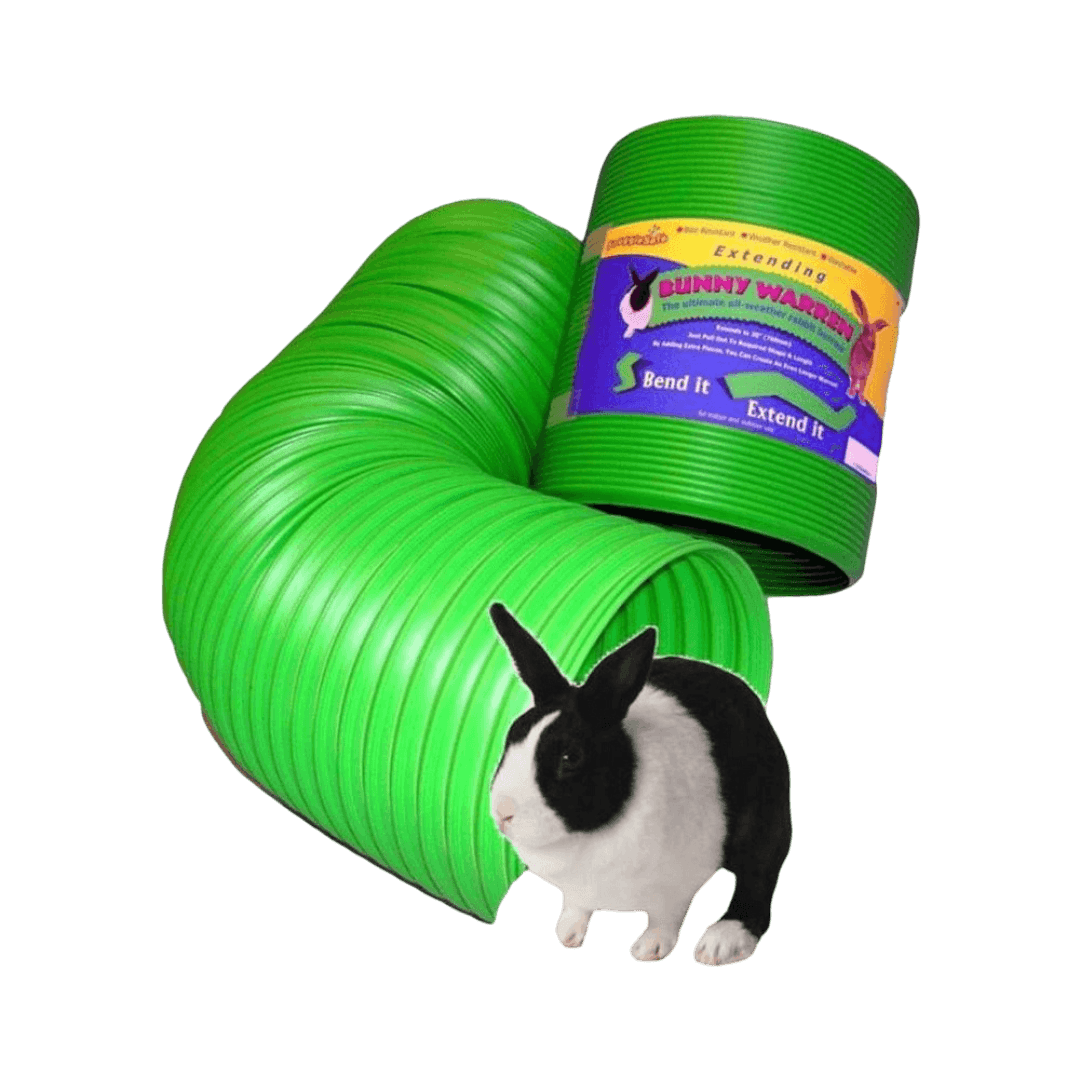 Bunny Warren