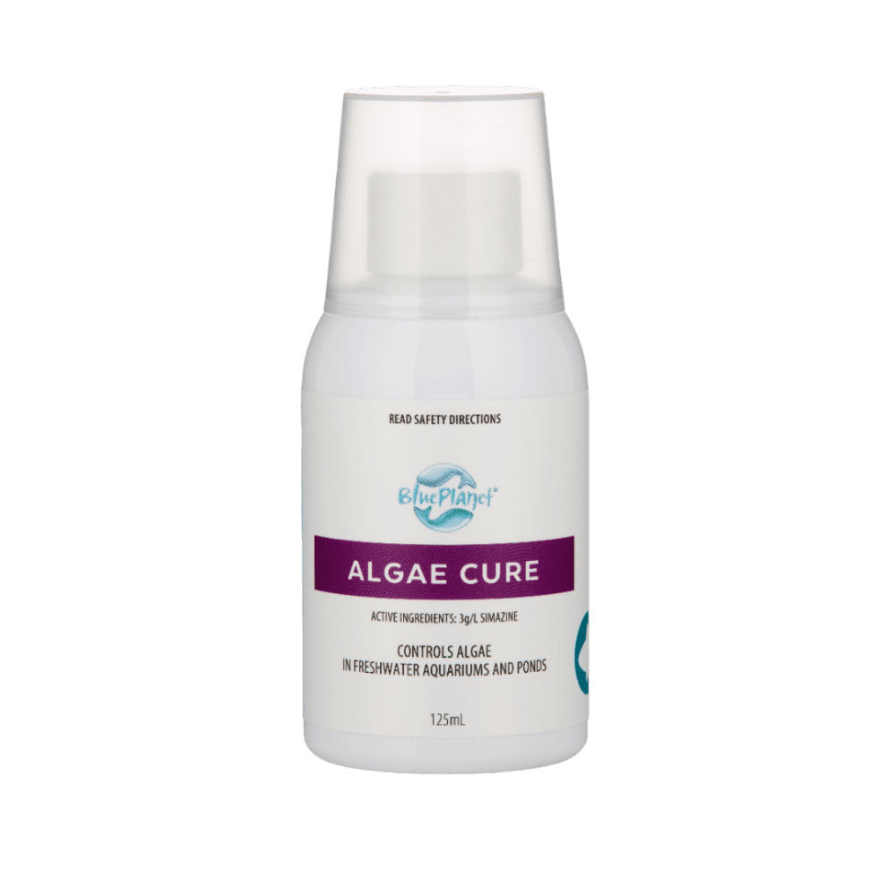 Algae Cure Aquarium Treatment