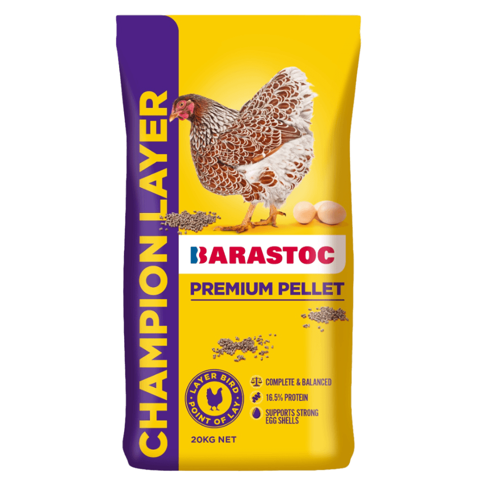Champion Layer Premium Pellets
