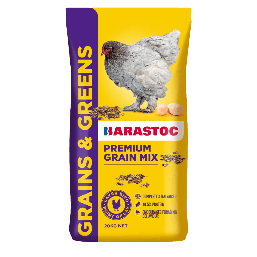 Grains & Greens Chicken Feed