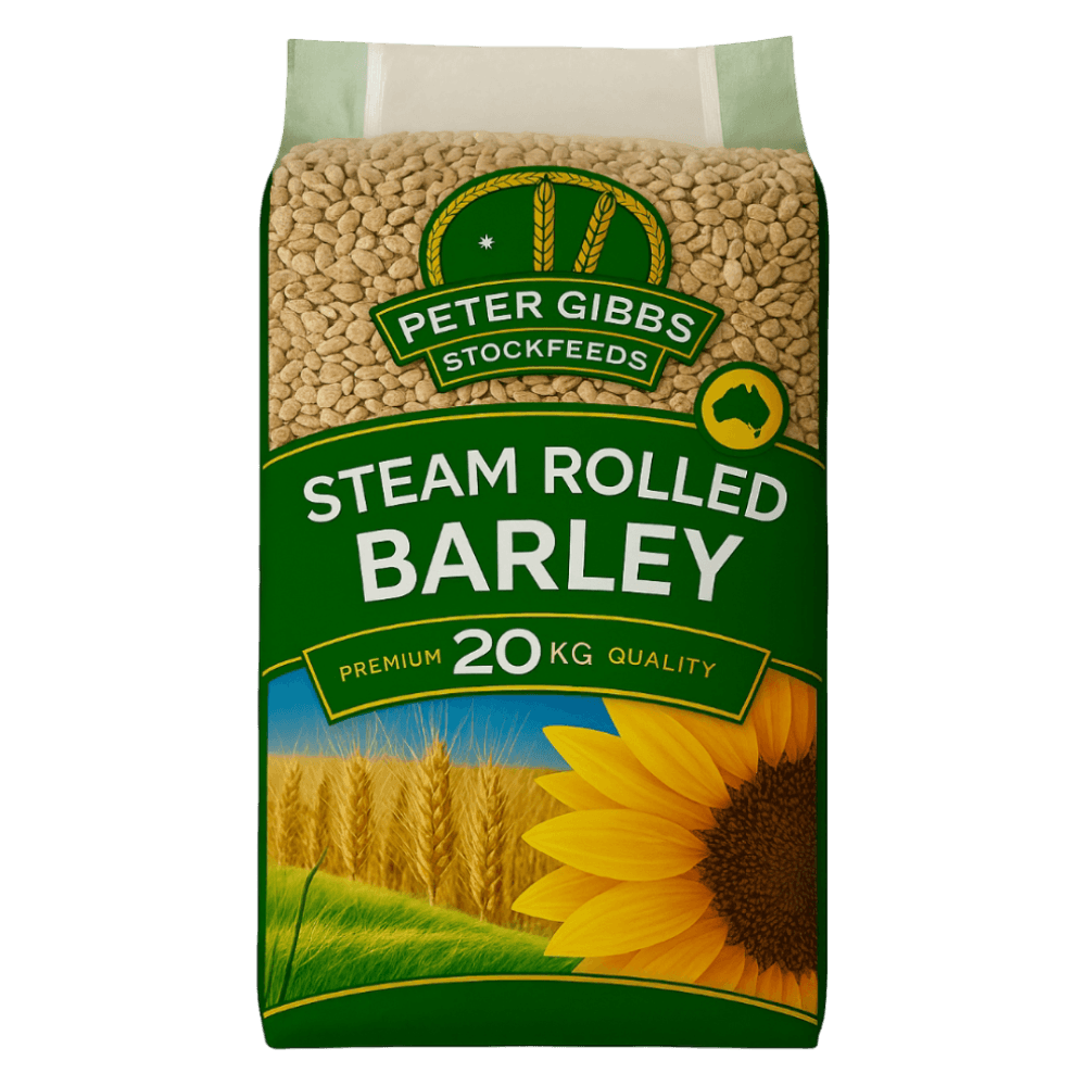 Steam and Rolled Barley