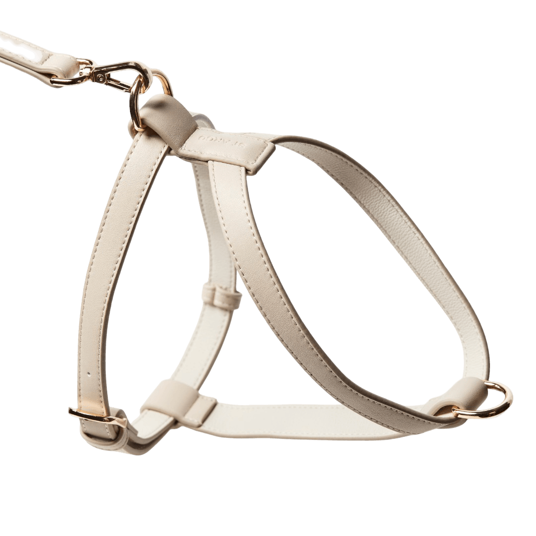 Vegan Leather Dog Harness in Taupe