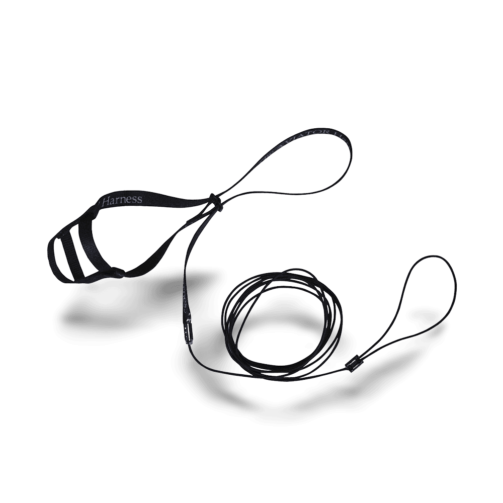 Harness And Leash Black
