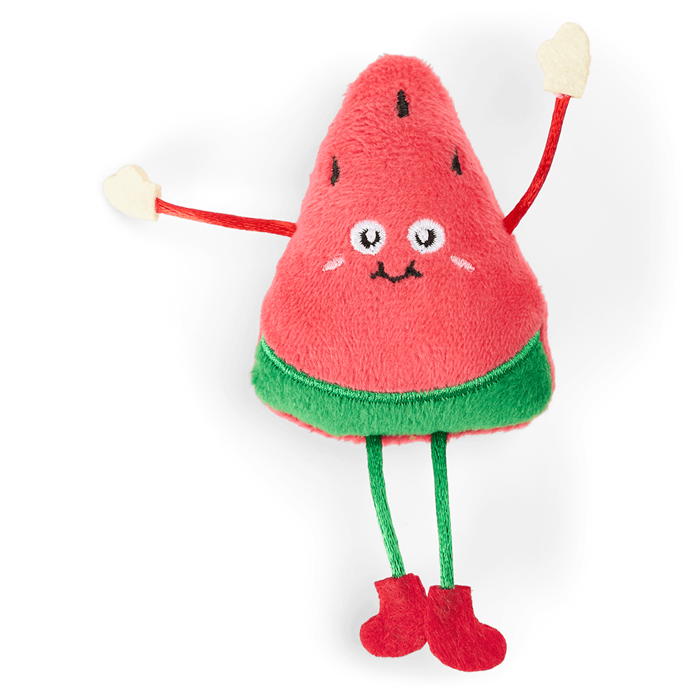 Watermelon With Catnip Cat Toy