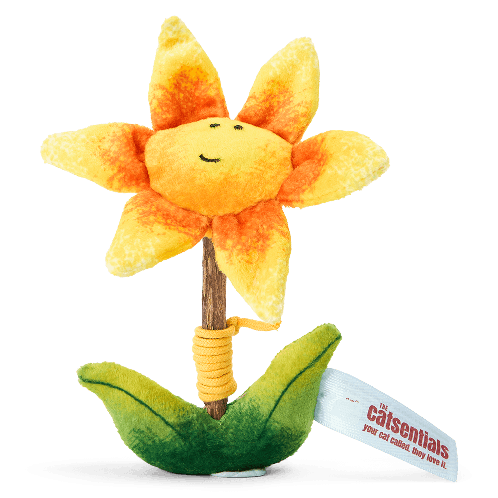 Flower With Silvervine Stick Cat Toy